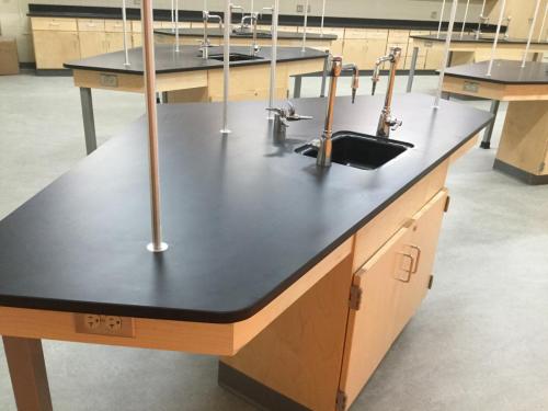 Custom Laboratory Casework with Epoxy Resin Countertops at West Chicago High School