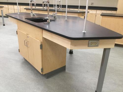 Custom Laboratory Casework with Epoxy Resin Countertops at West Chicago High School