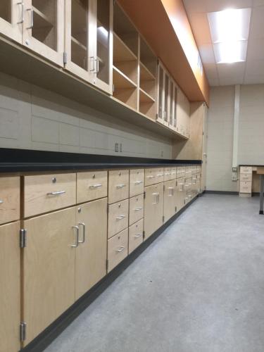 Contractor for Custom Laboratory Casework with Epoxy Resin Countertops at West Chicago High School