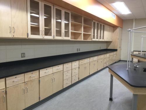 Contractor for Custom Laboratory Casework with Epoxy Resin Countertops at West Chicago High School